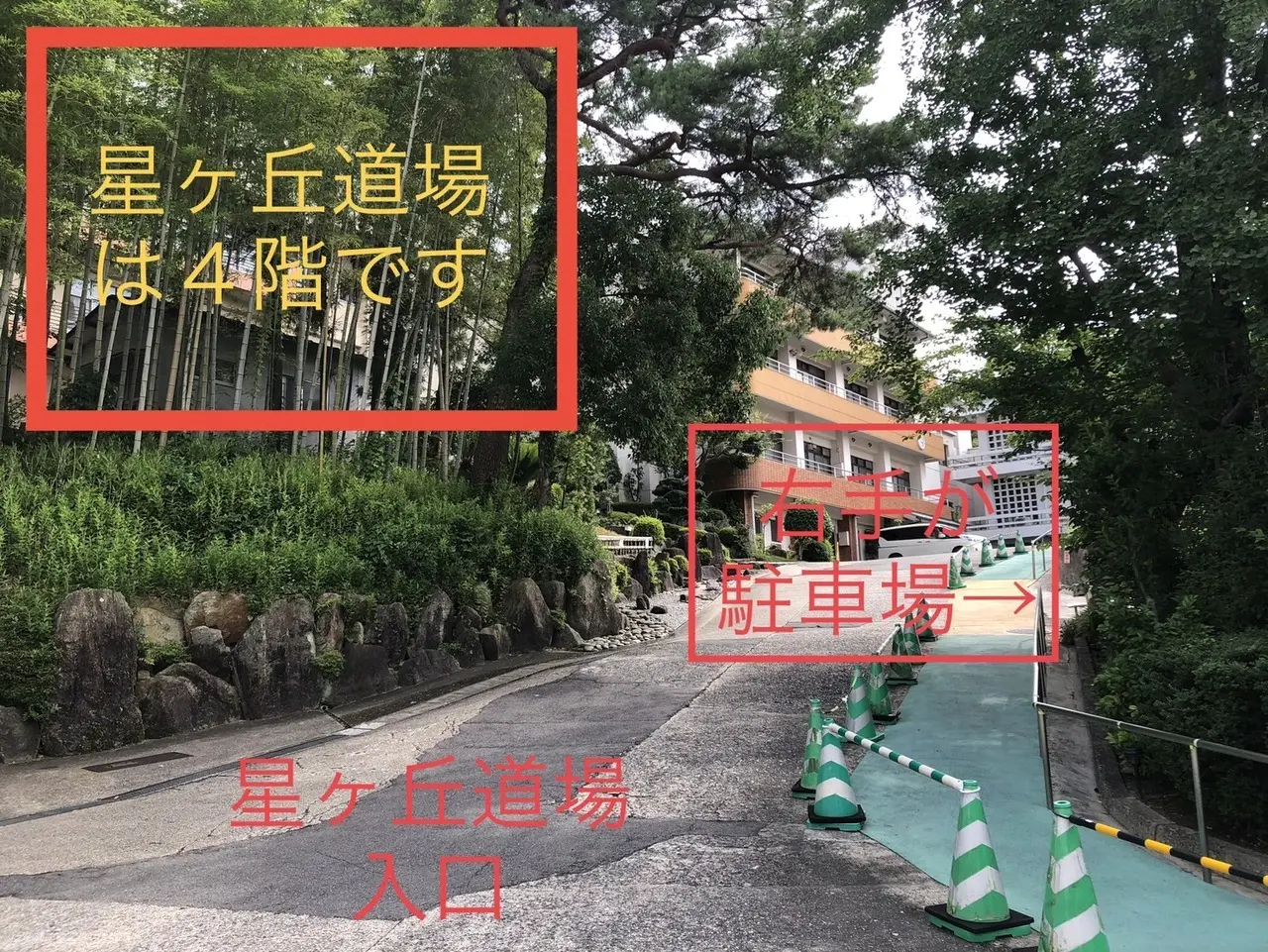 見学・体験の様子